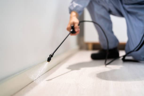 Licensed Ant Control service in Toledo, IL - Show Me Pest Control