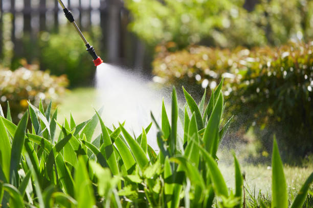 24/7 Emergency Ant Control experts in Toledo, IL