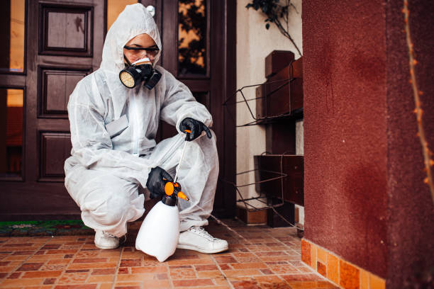 Reliable Ant Control contractor in Toledo, IL by Show Me Pest Control