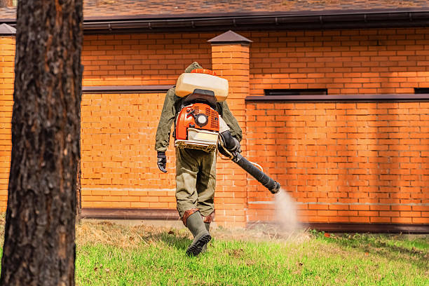 Top rated local Ant Control specialists in Toledo, IL
